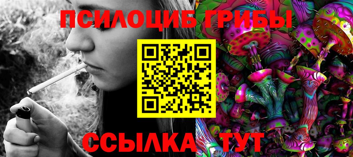 Галлюциногенные грибы Magic Shrooms  Псилоцибиновые грибы прущие грибы  Нижневартовск  Вход с VPN 